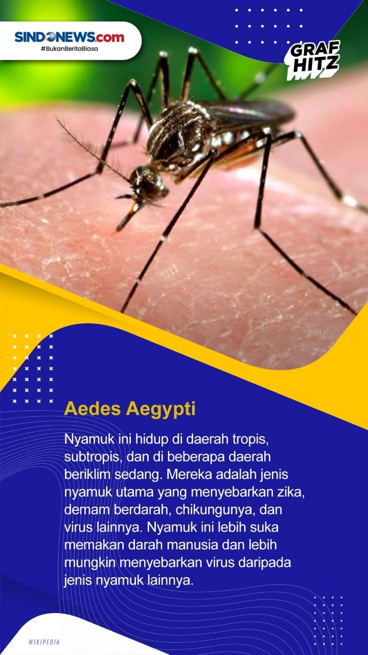 Hari Nyamuk Sedunia,...