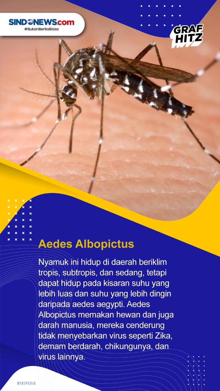Hari Nyamuk Sedunia,...