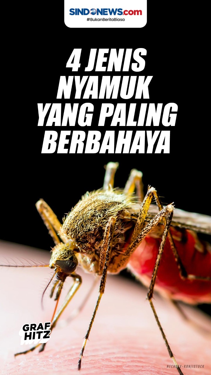 Hari Nyamuk Sedunia,...