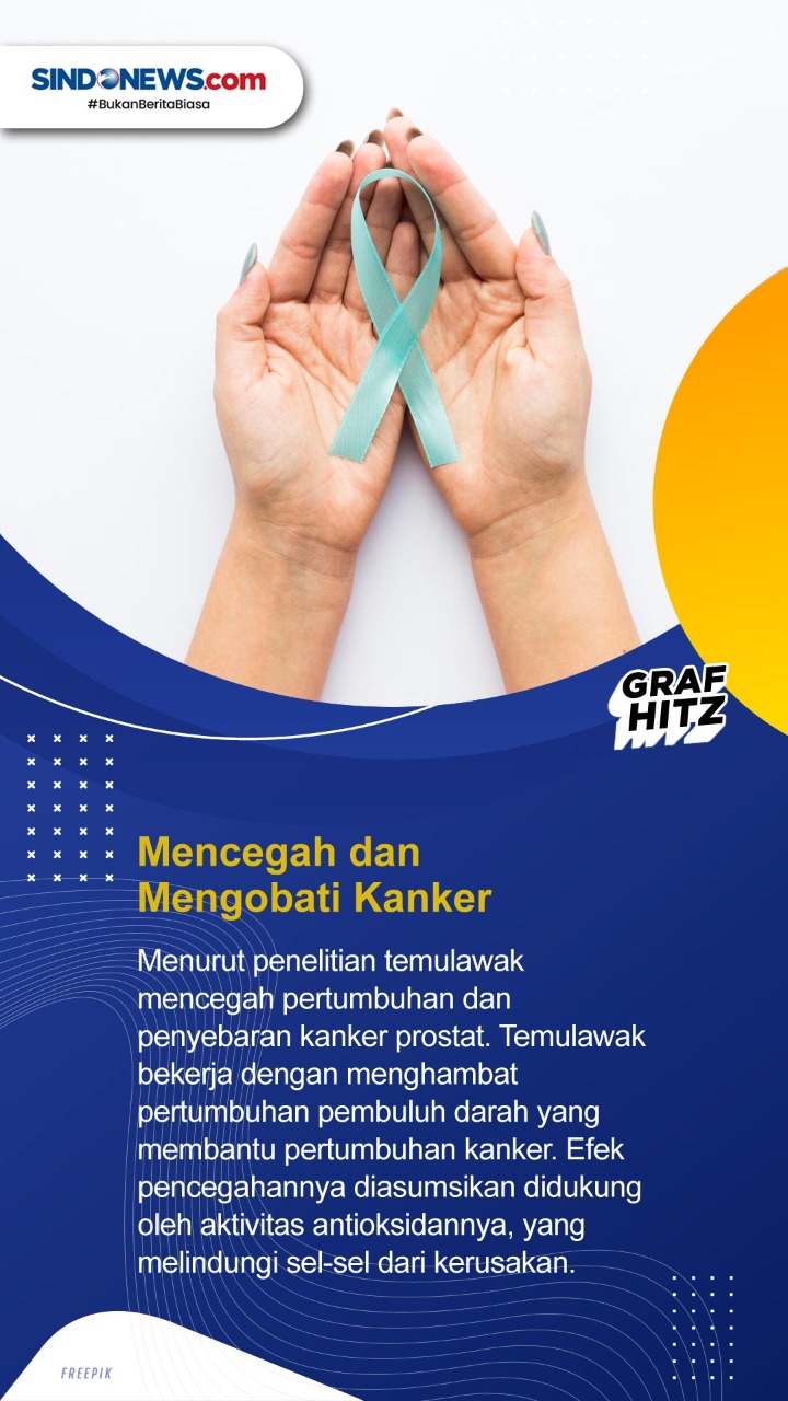 Manfaat Temulawak untuk...