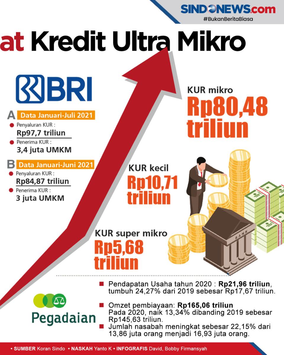 Holding Ultra Mikro...