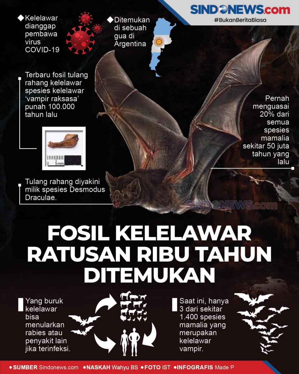 Fosil Kelelawar Berusia...