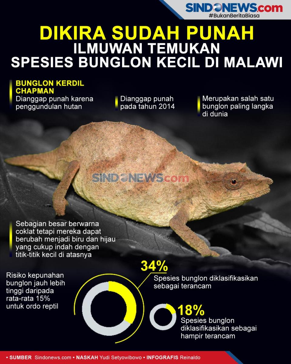 Dikira Sudah Punah,...
