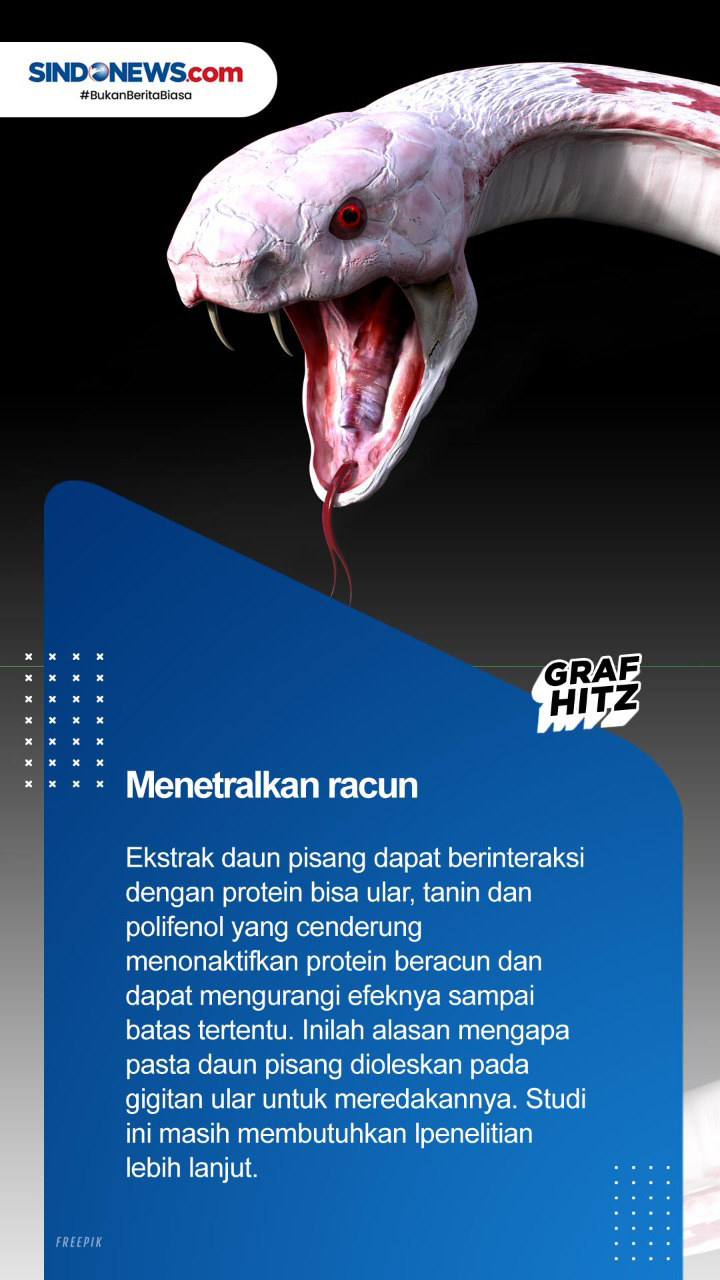 Bisa Menurunkan Demam,...