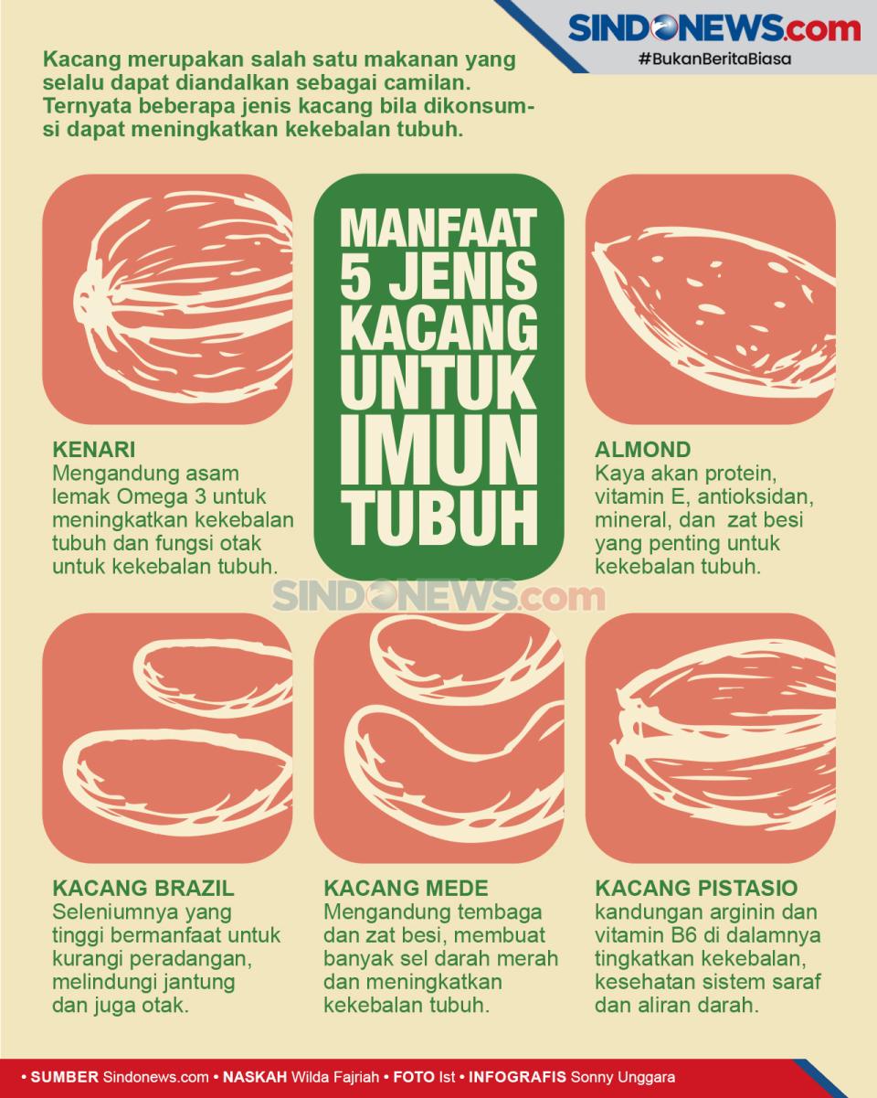 5 Jenis Kacang Ini Dapat...