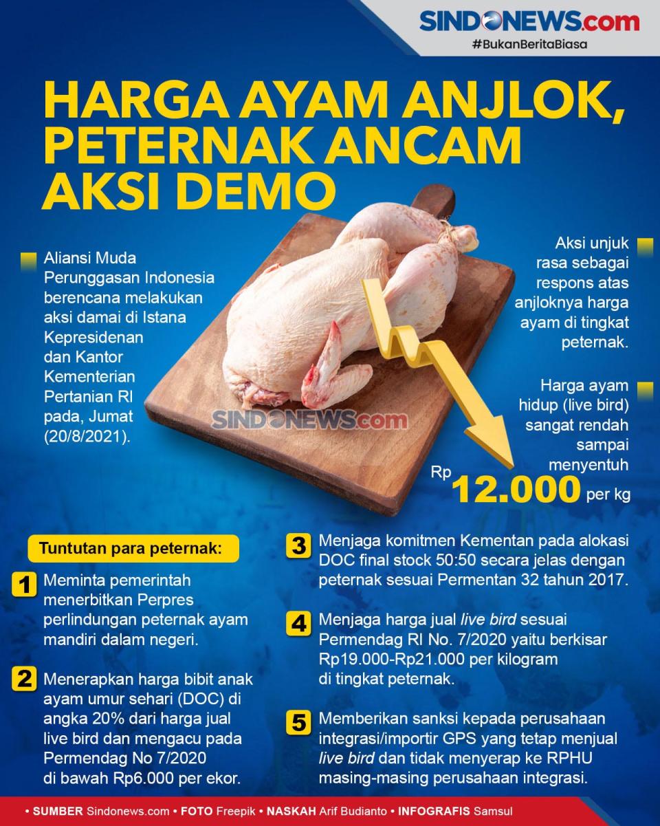 Harga Ayam Anjlok, Peternak...