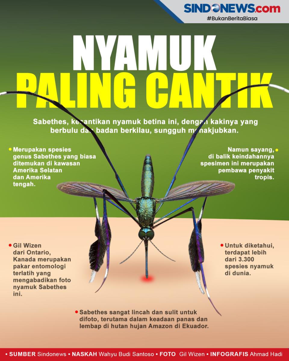 Tubuhnya Berkilau, Ini...
