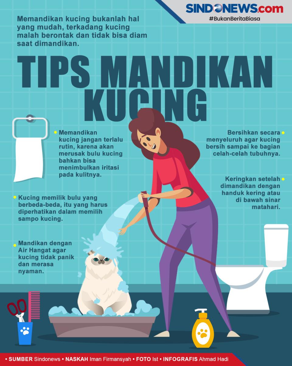 Cara Memandikan Kucing,...