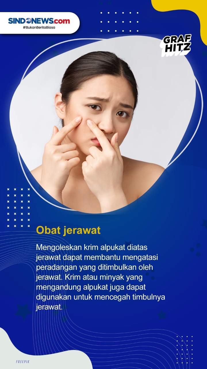 Buah Bermanfaat Alpukat...