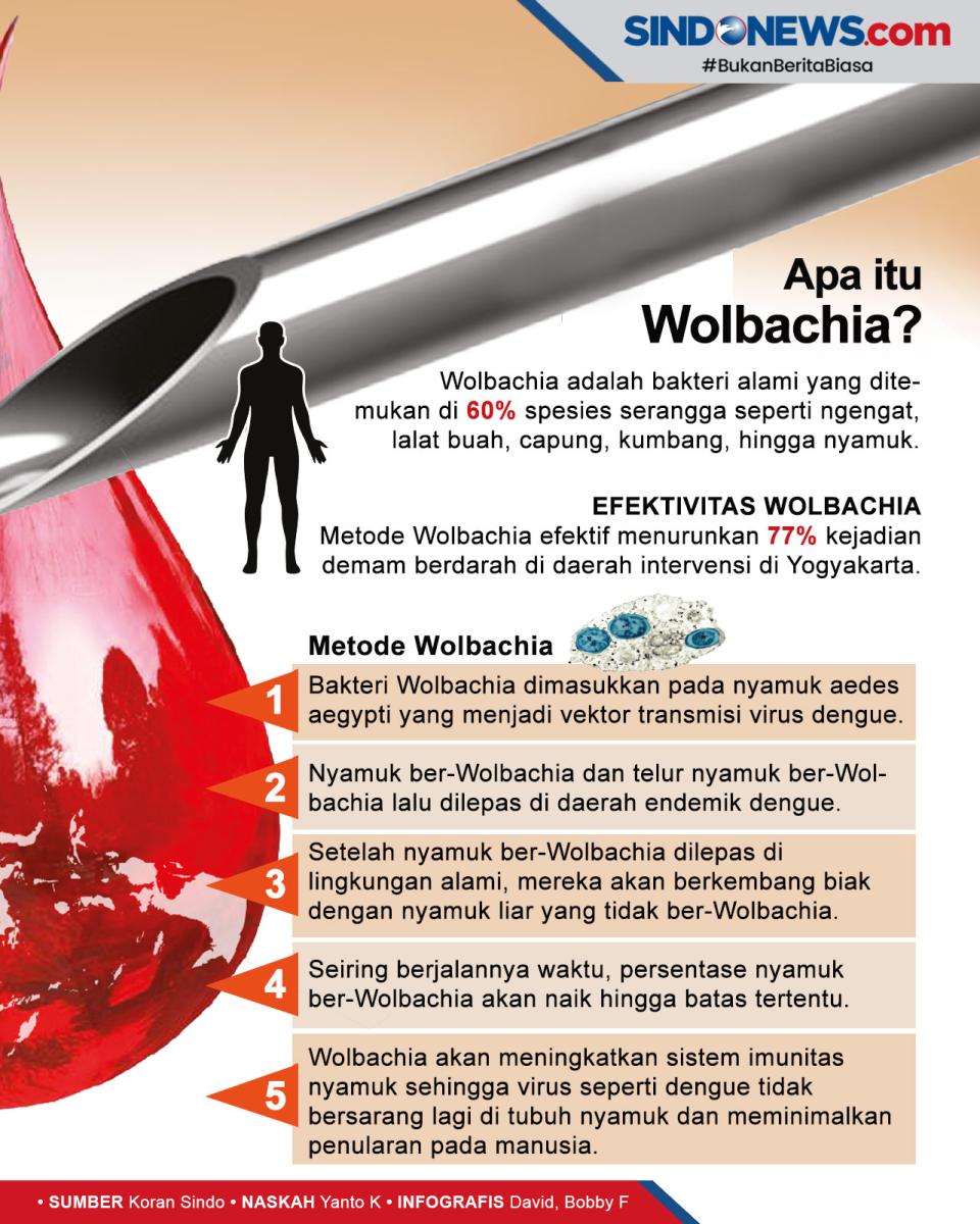 Metode Wolbachia Jadi...