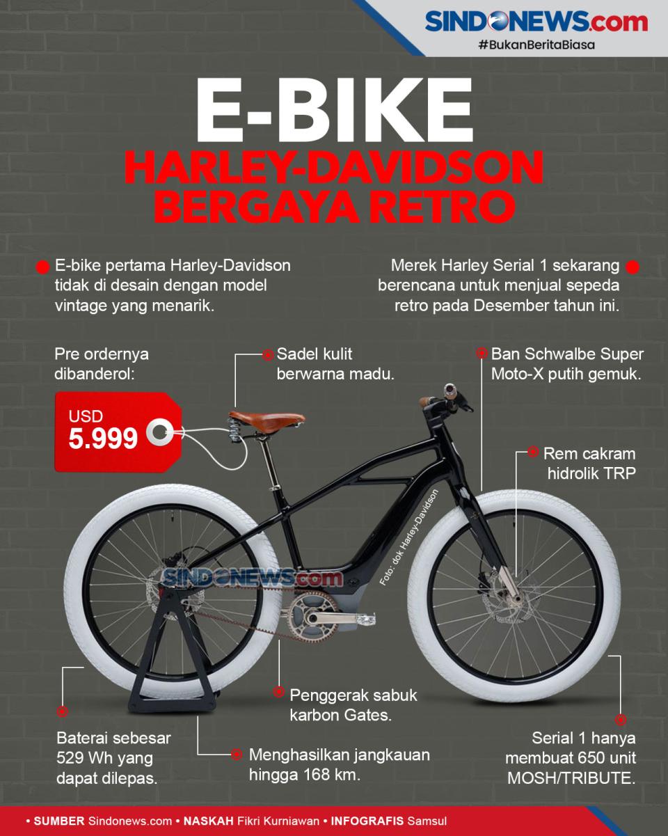 E-Bike Harley-Davidson...