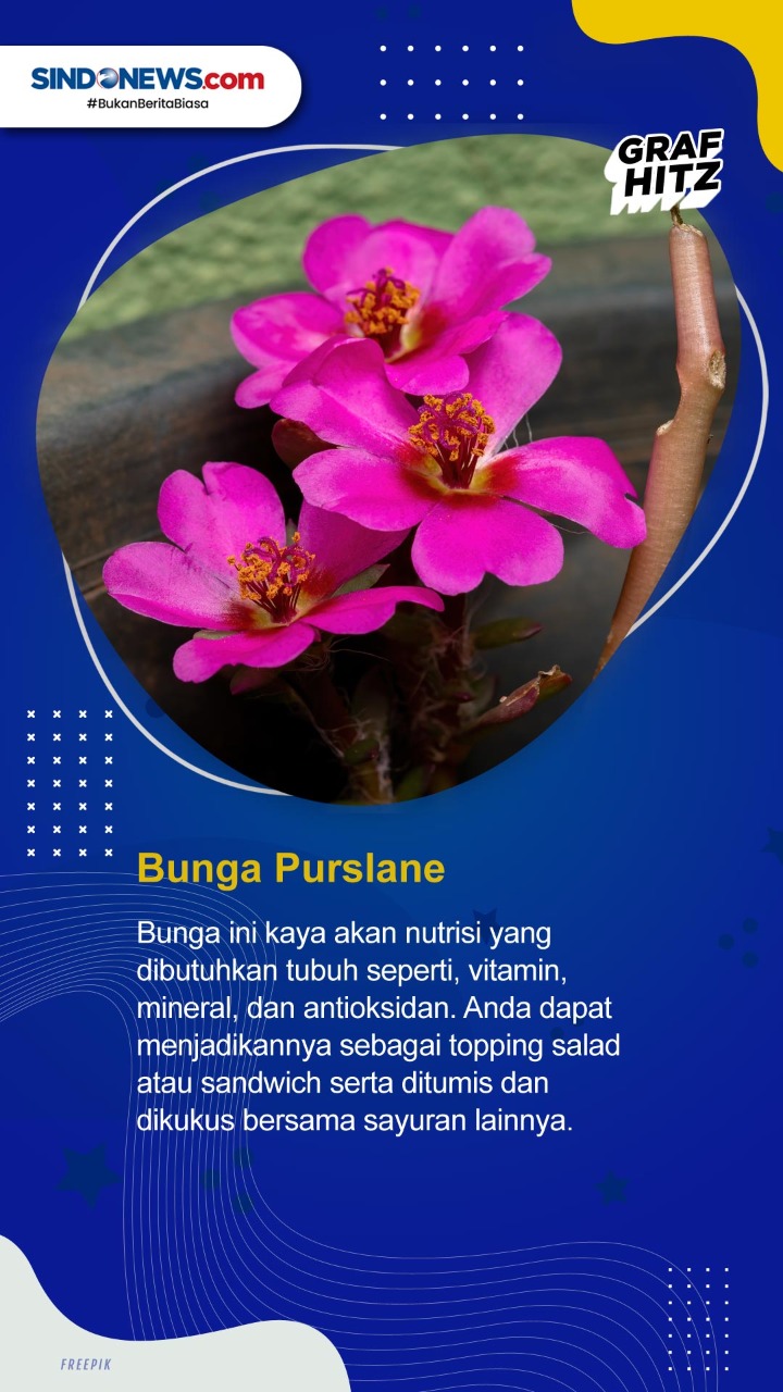 Ini Bunga yang Bisa...