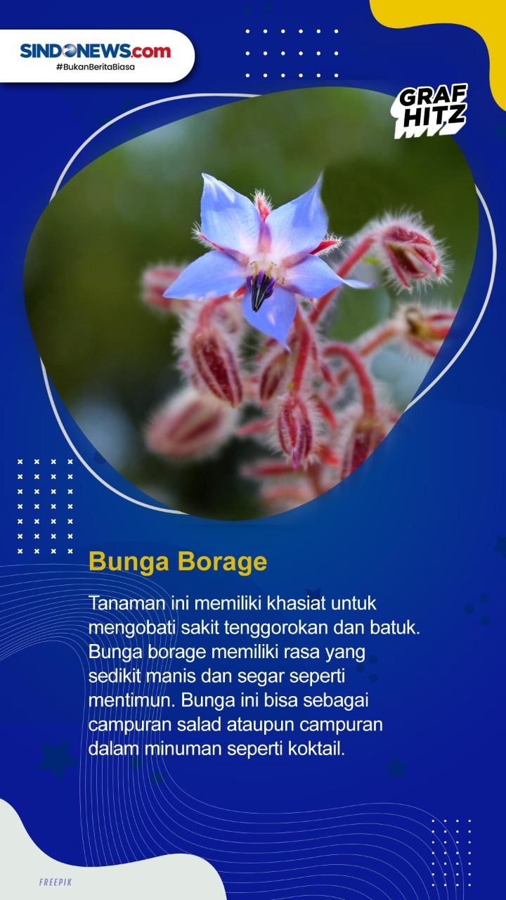 Ini Bunga yang Bisa...