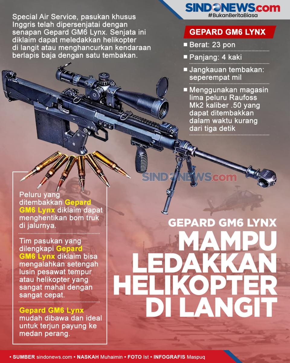 Gepard GM6 Lynx, Senapan...