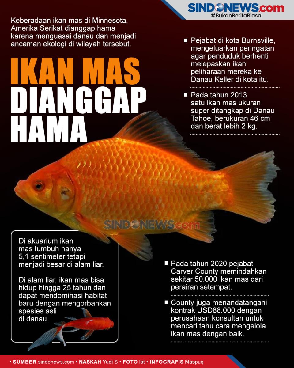 Jadi Ancaman Ekologi,...