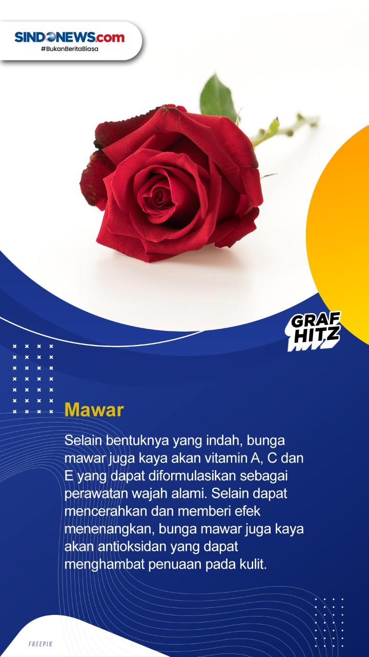 Tiga Tanaman Herbal...
