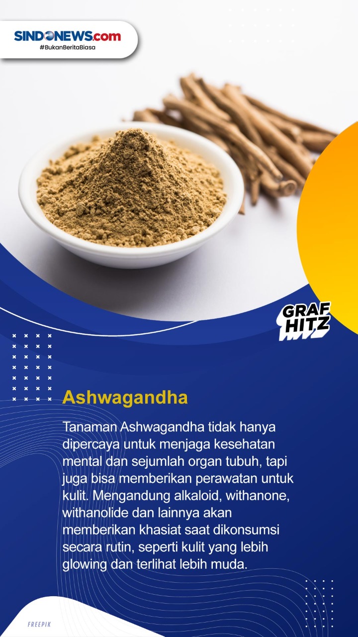 Tiga Tanaman Herbal...