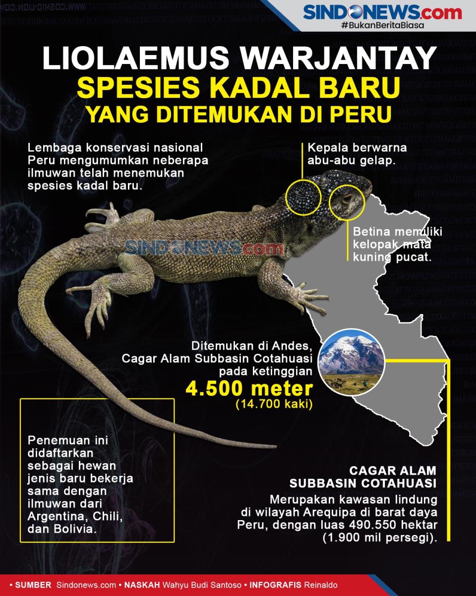 Liolaemus warjantay,...
