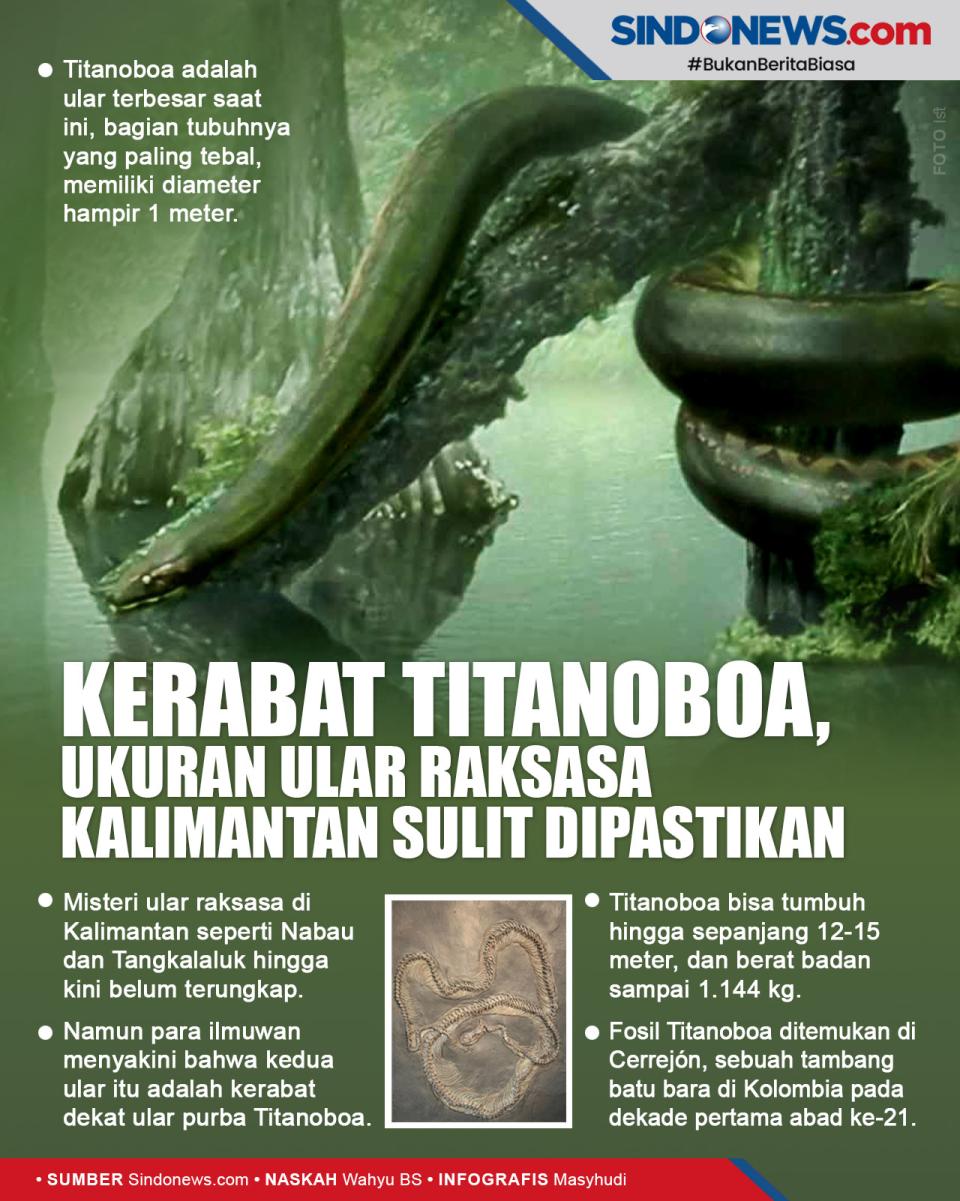 Masih Kerabat Titanoboa,...