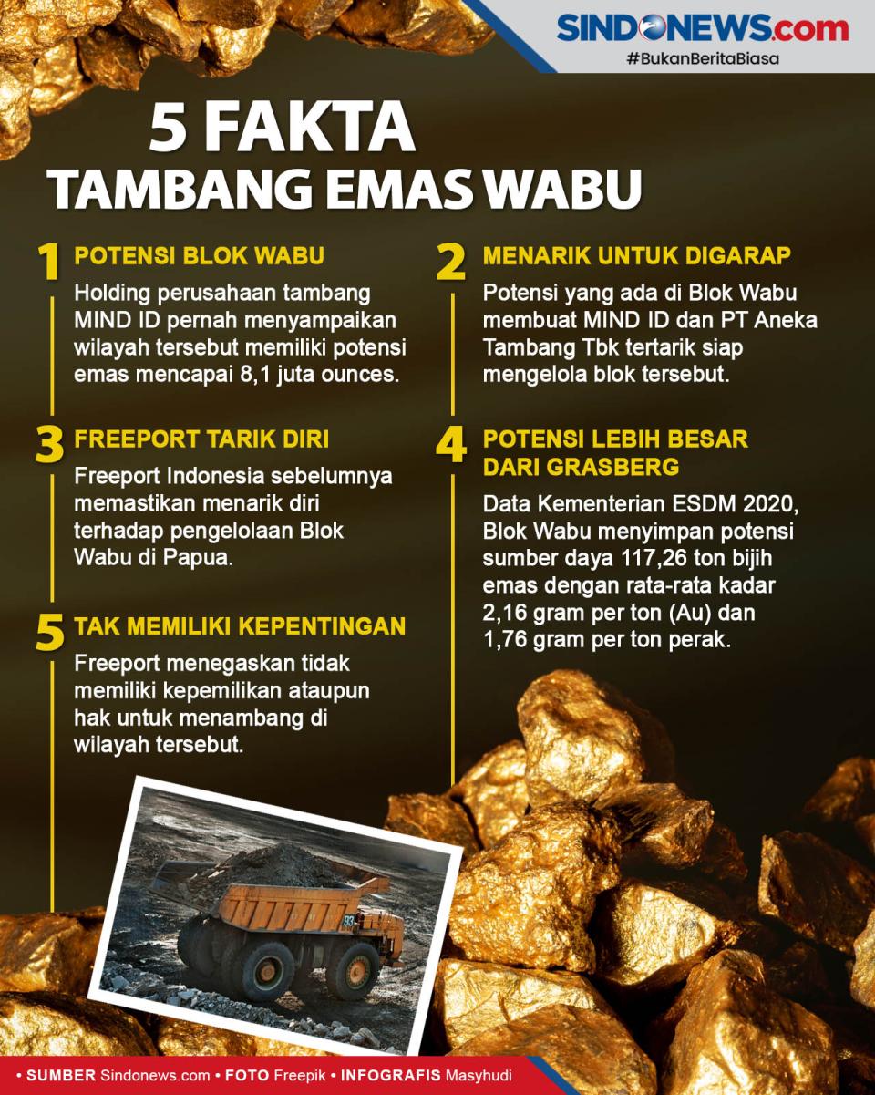 Fakta-fakta Blok Wabu...