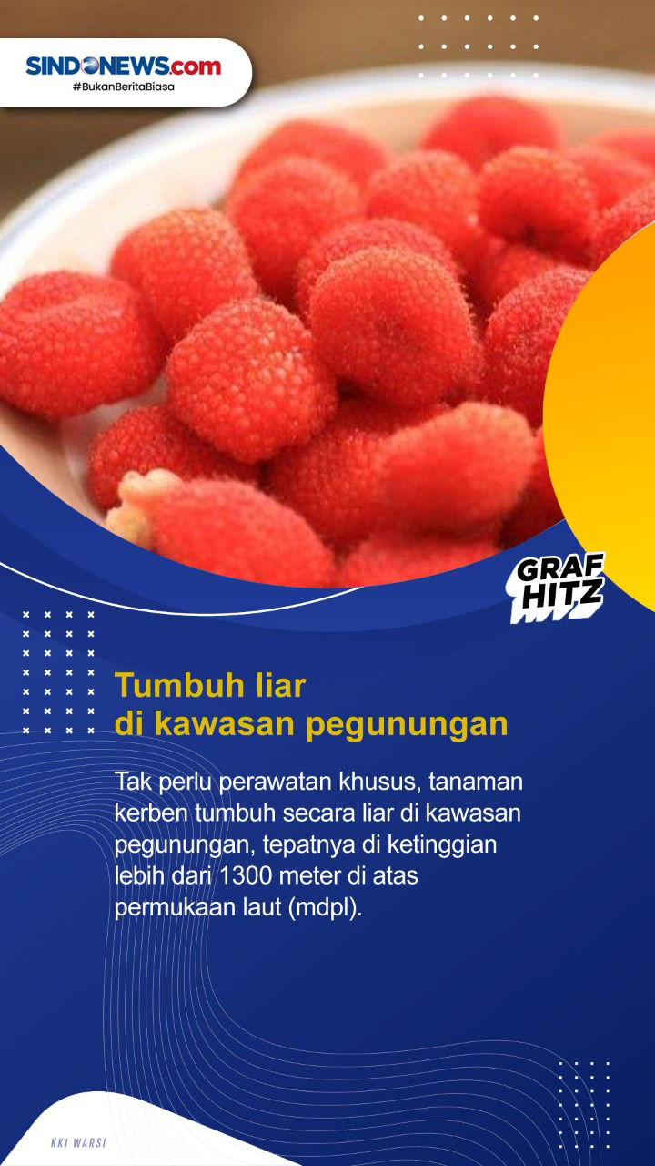 Kenali Lima Fakta Kerben,...