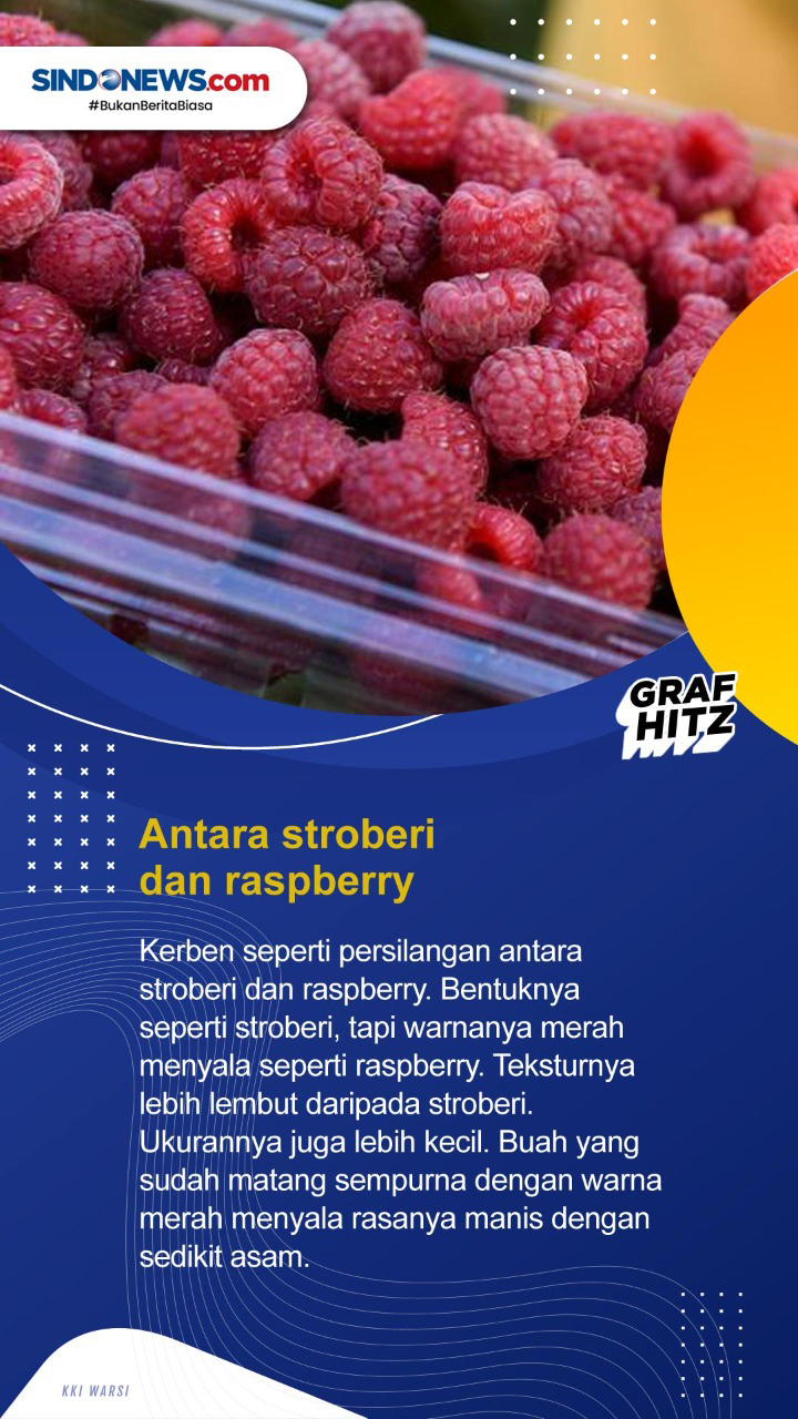 Kenali Lima Fakta Kerben,...