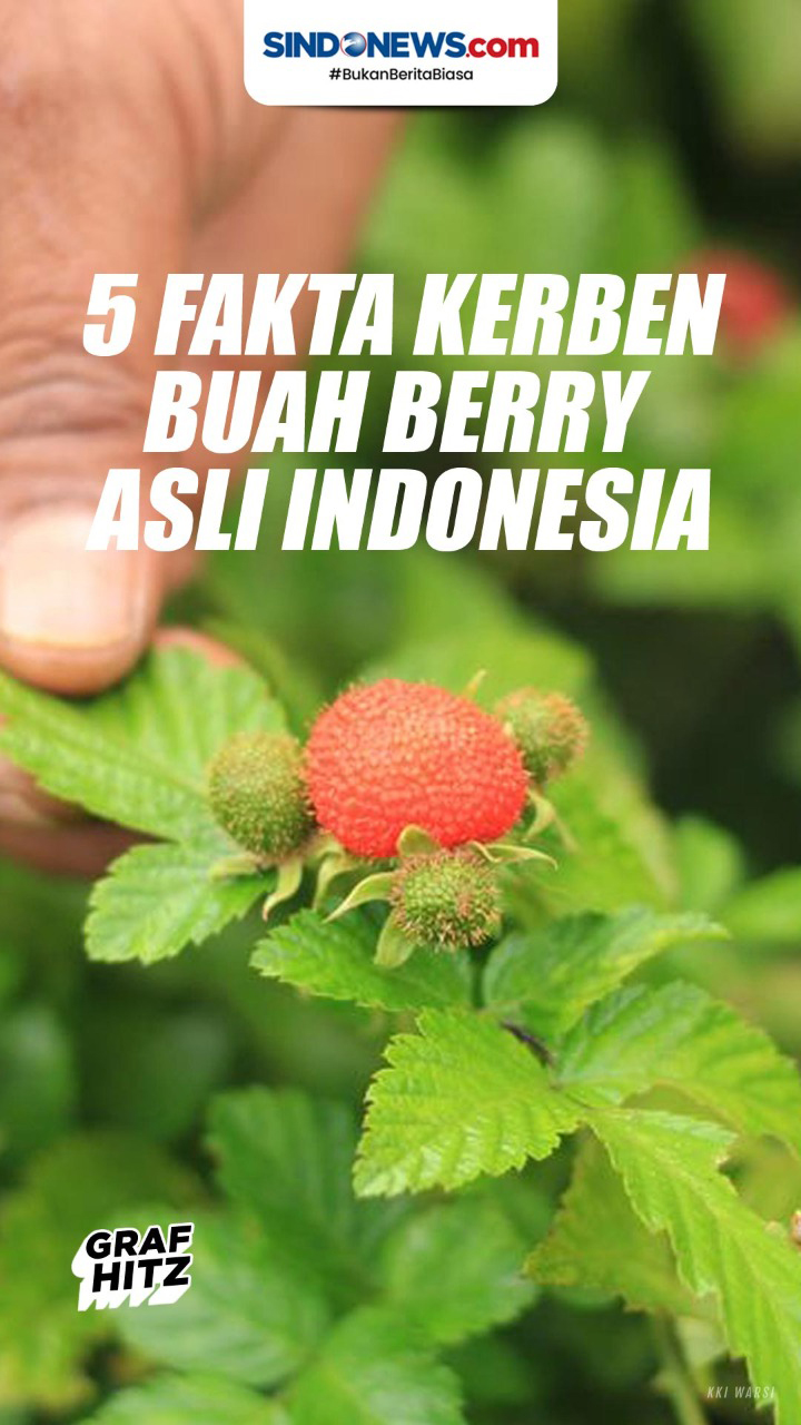Kenali Lima Fakta Kerben,...