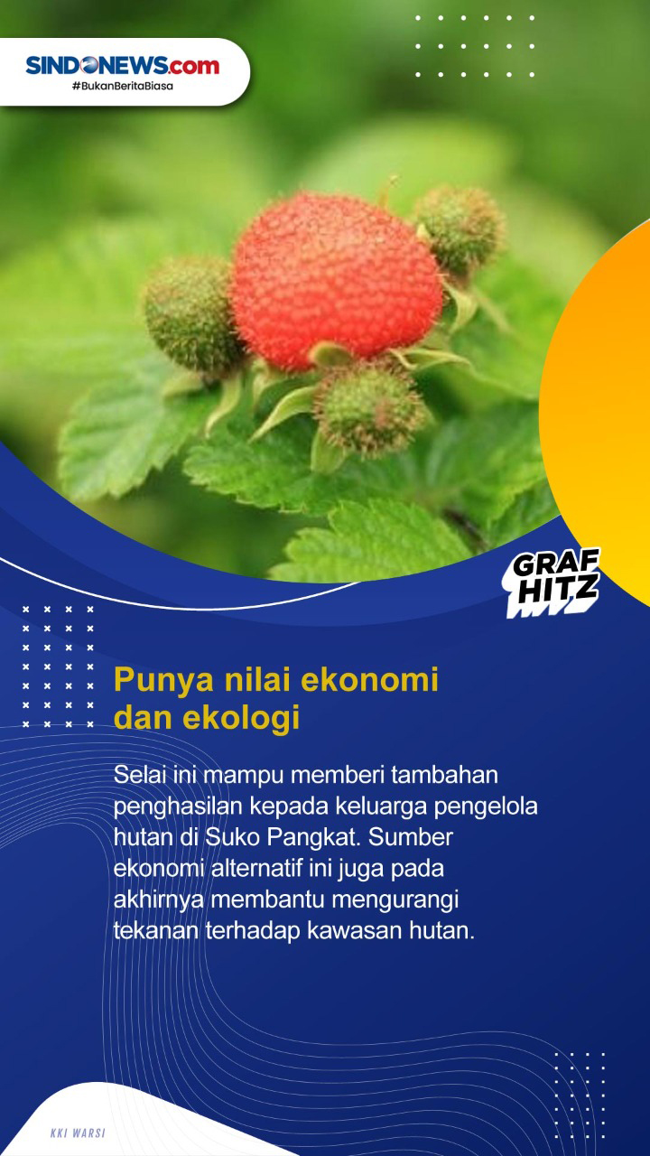 Kenali Lima Fakta Kerben,...