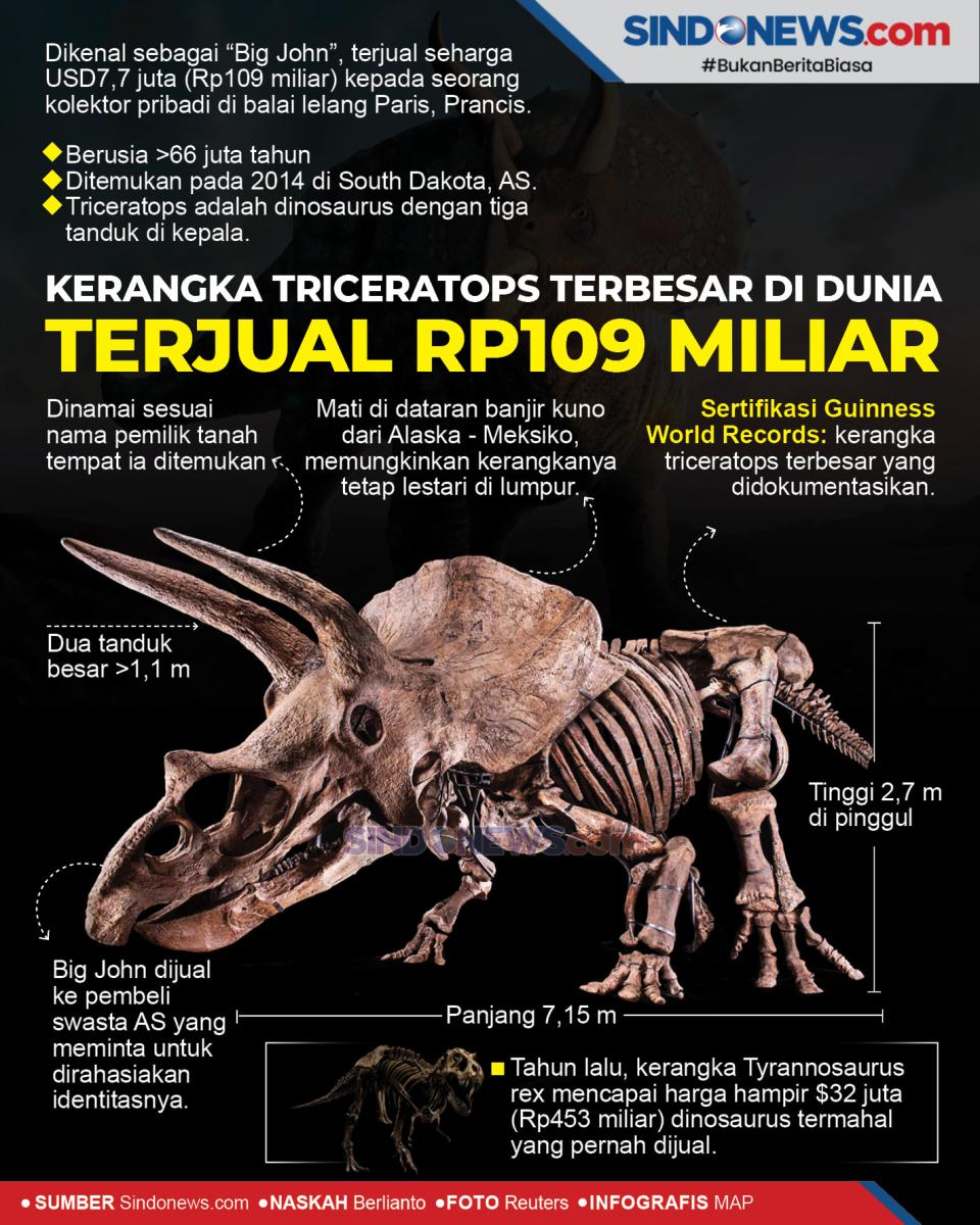 Kerangka Triceratops...