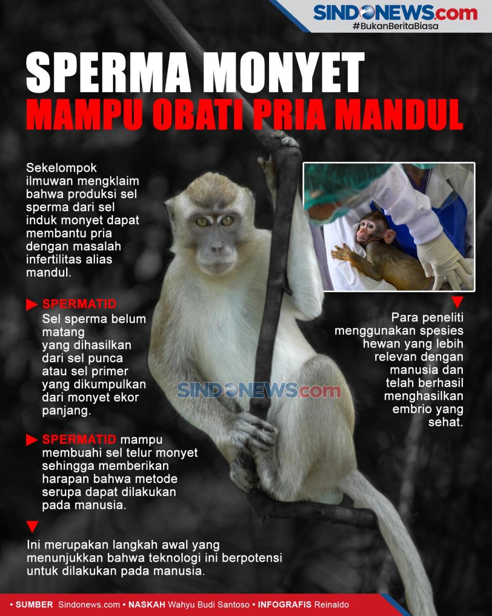 Ilmuwan Sebut Sperma...