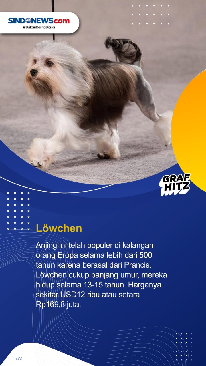 10 Ras Anjing Termahal...