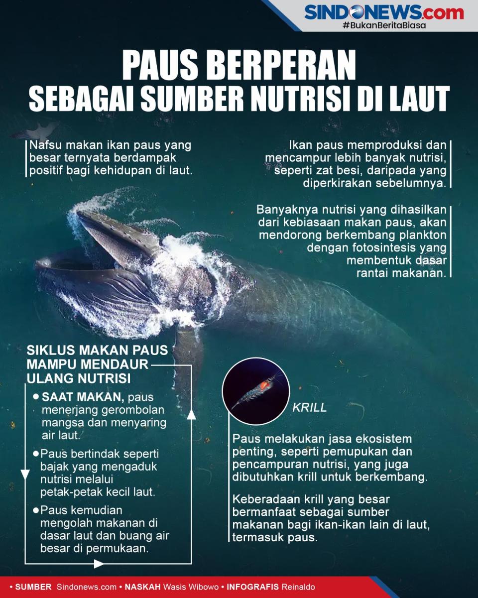 Paus Berperan Penting...
