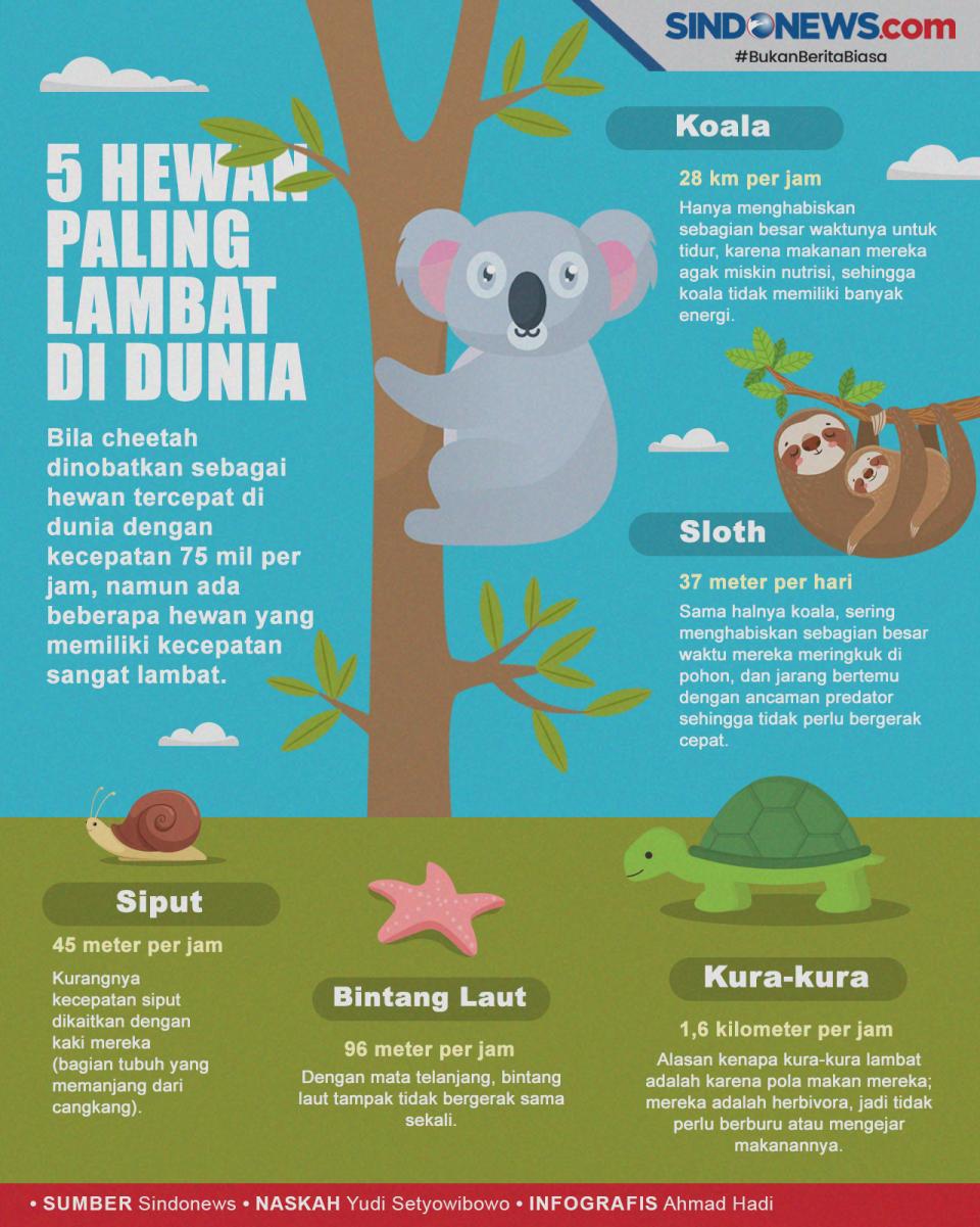 Hewan Paling Lambat...