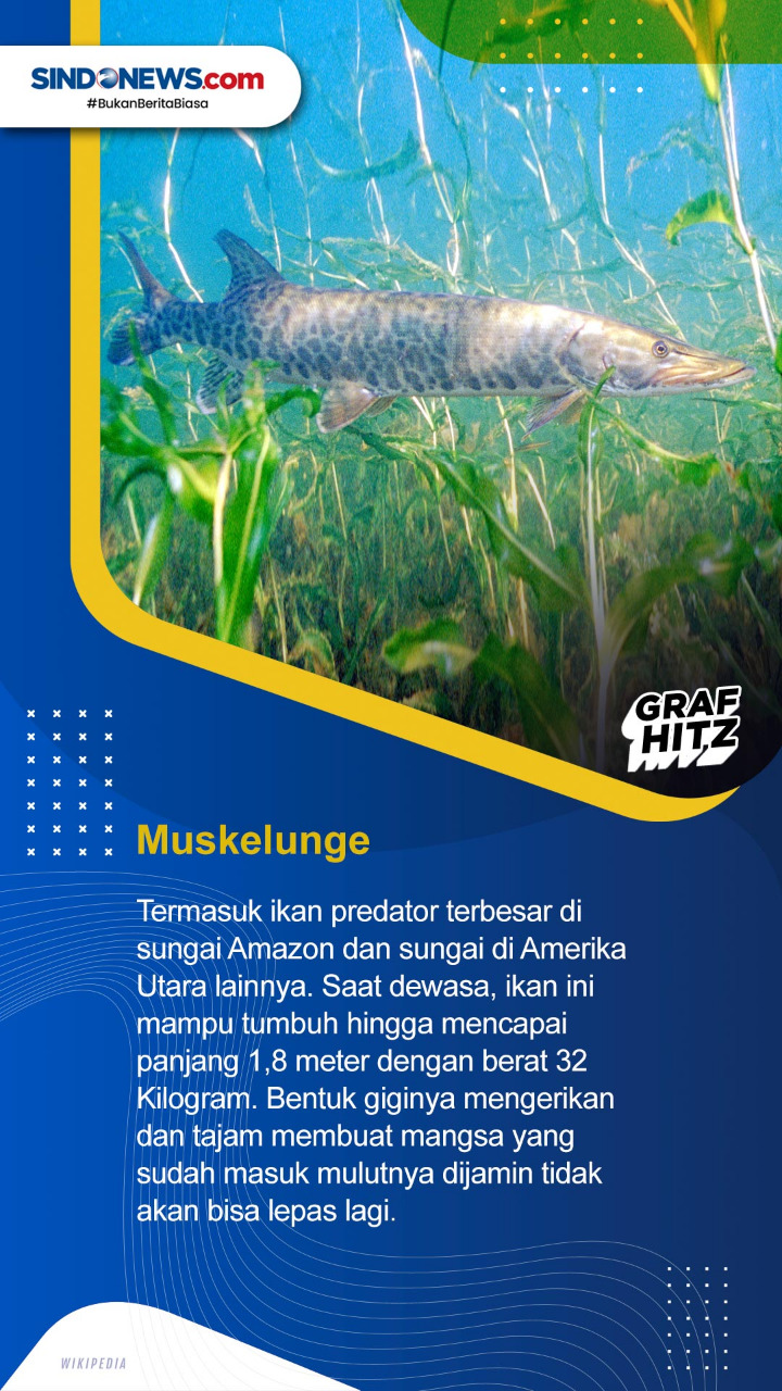 Tujuh Ikan Air Tawar...