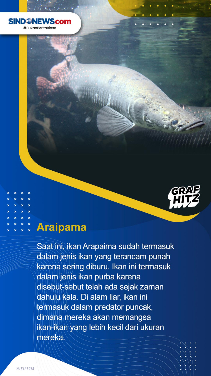 Tujuh Ikan Air Tawar...