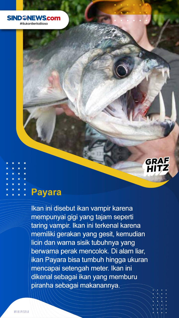 Tujuh Ikan Air Tawar...