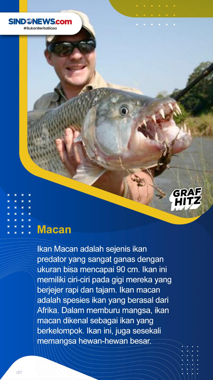 Tujuh Ikan Air Tawar...