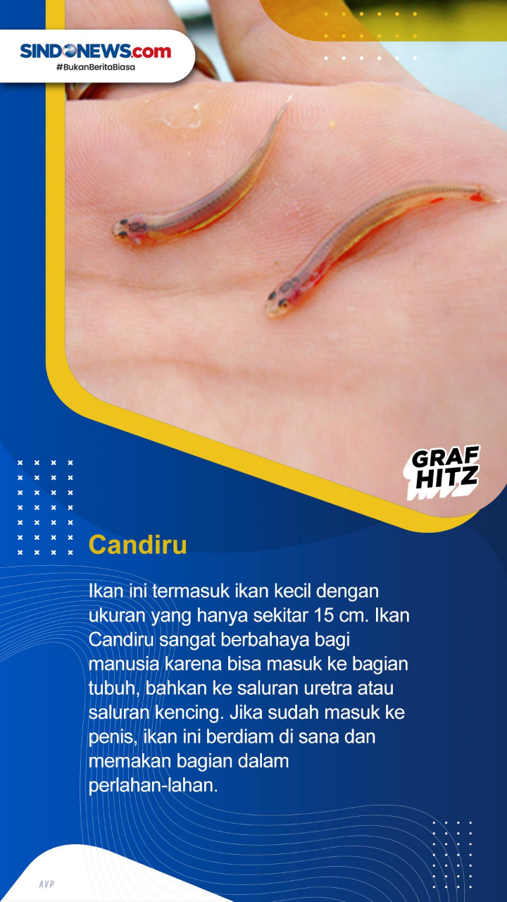 Tujuh Ikan Air Tawar...