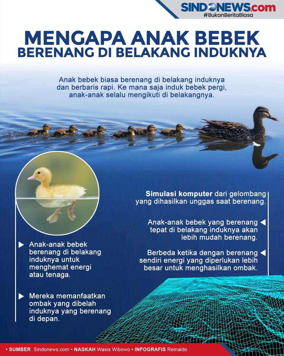 Rahasia Mengapa Anak...