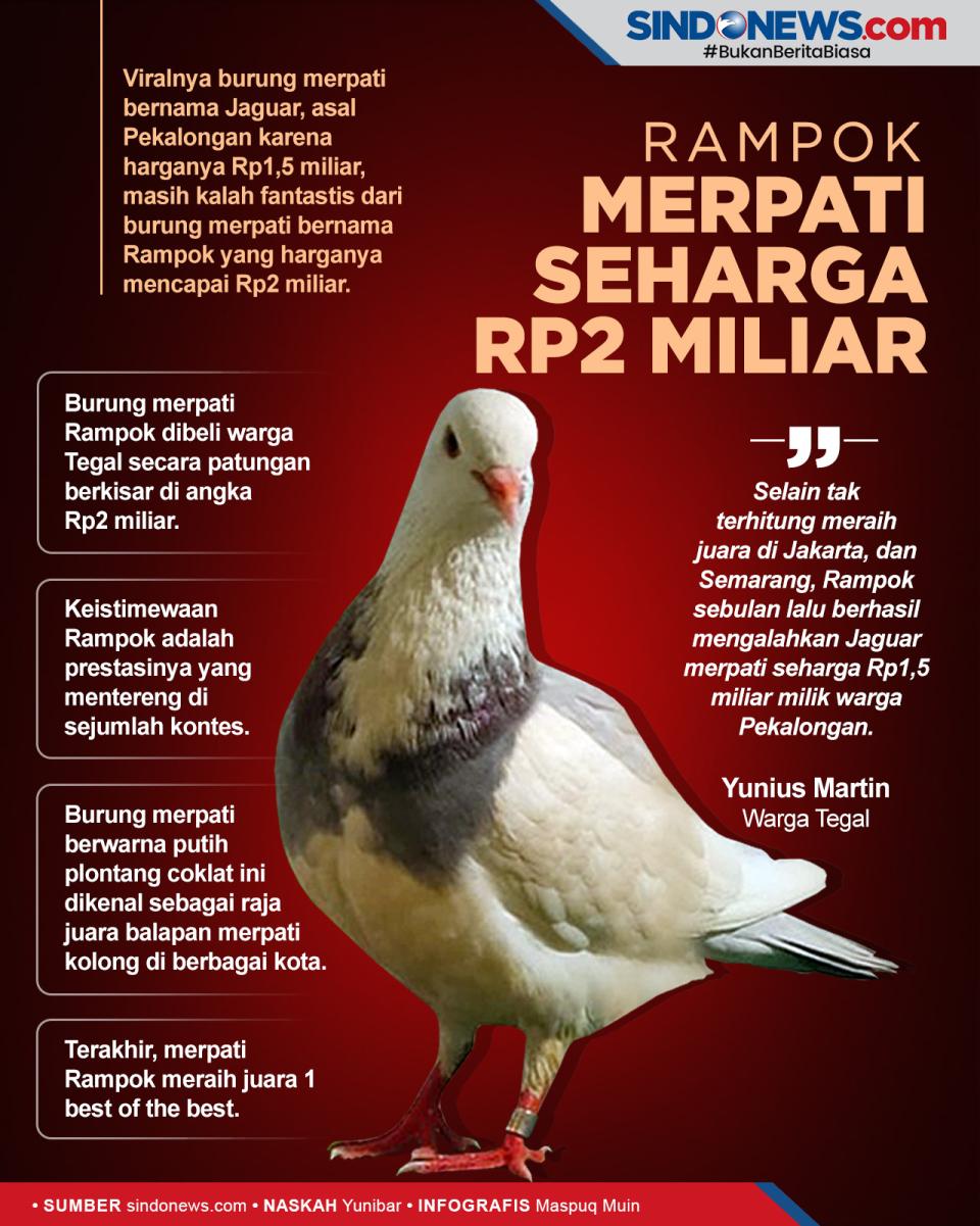 Kalahkan Jaguar, Burung...