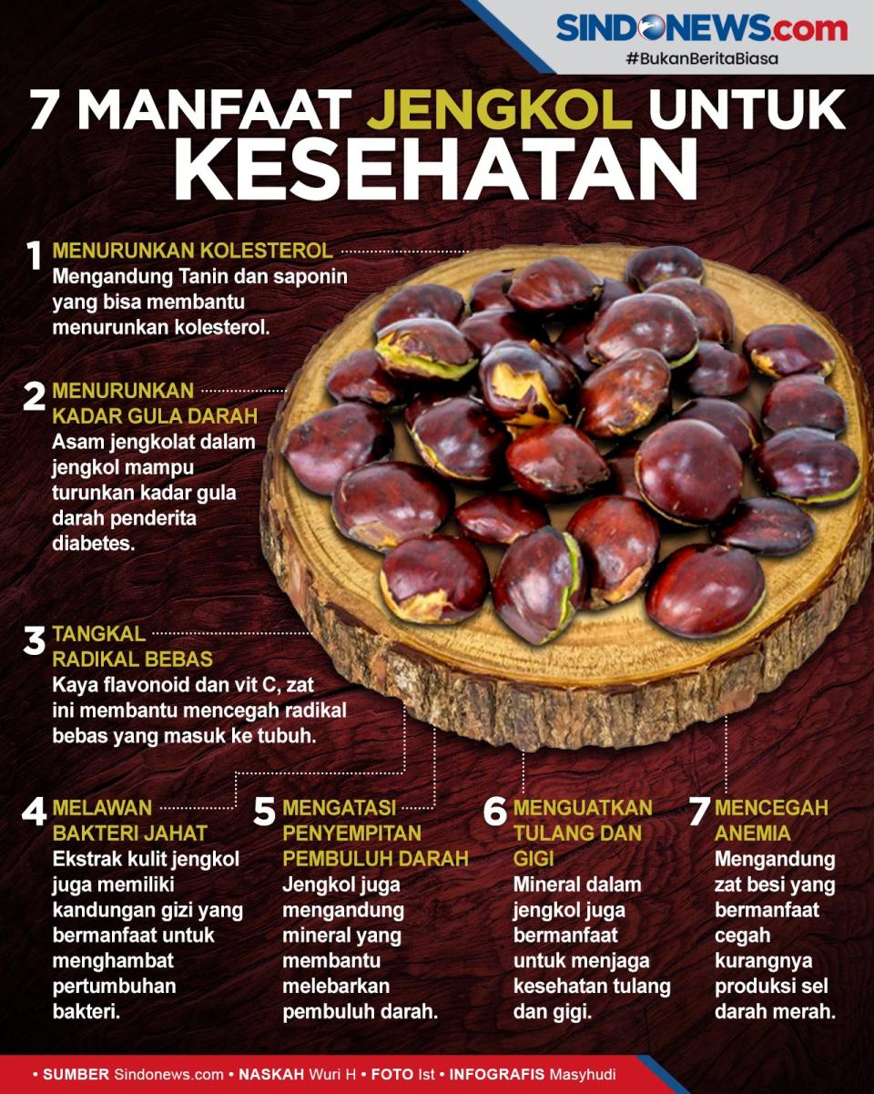 Ternyata Jengkol Memiliki...
