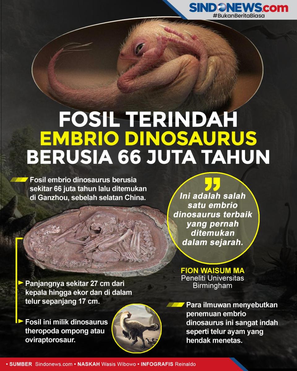Fosil Terindah, Embrio...