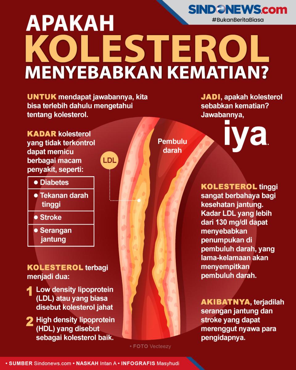 Bisakah Kolesterol Menyebabkan...
