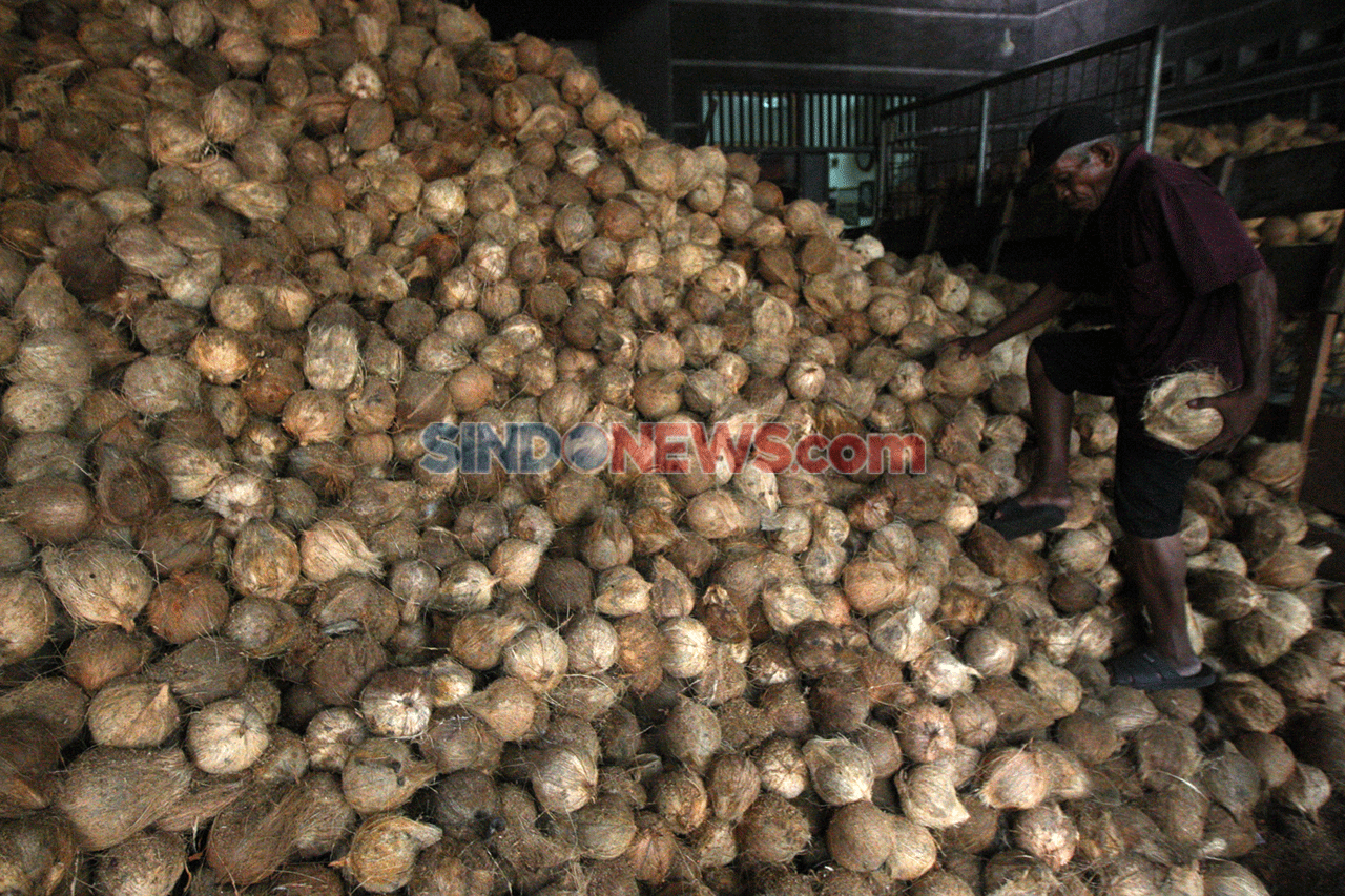 Kelapa Langka di Pasar...