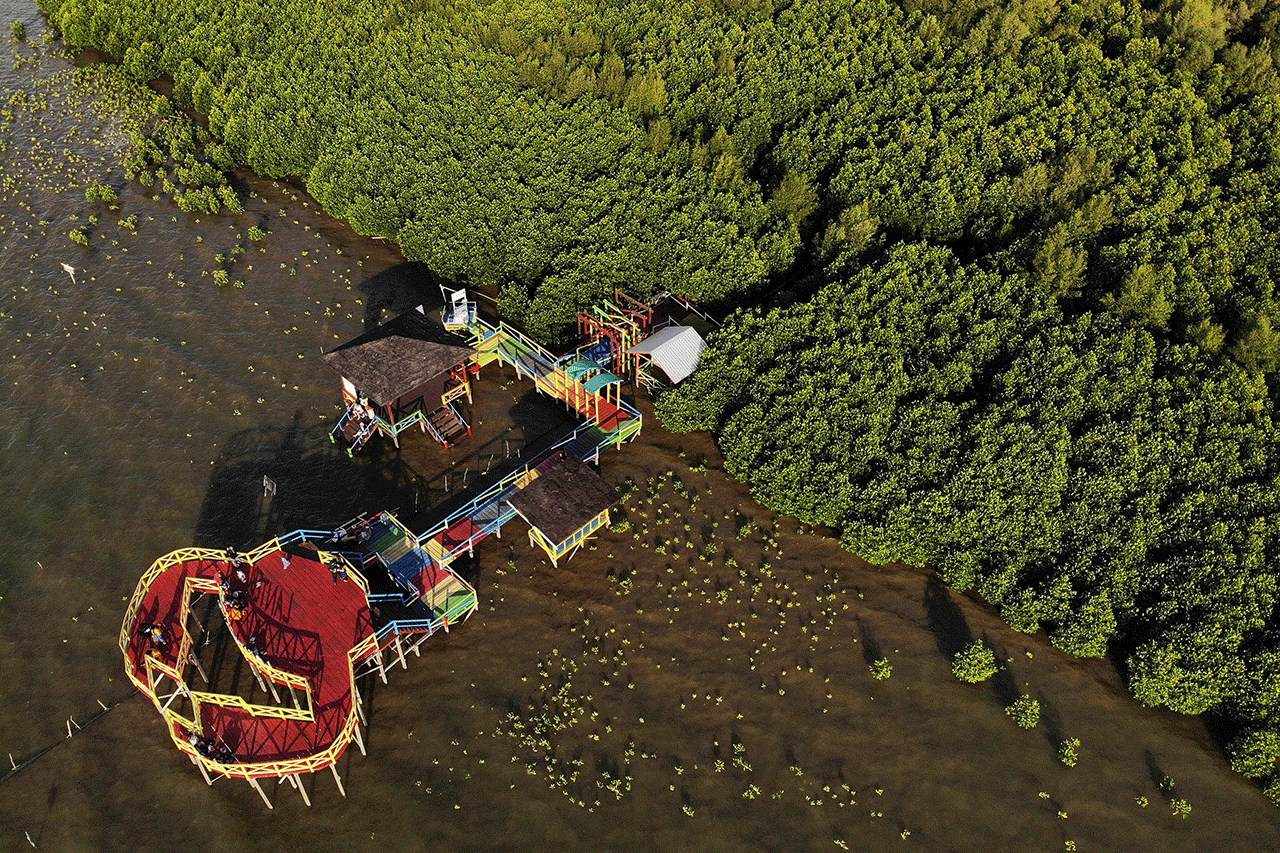 Indahnya Wisata Mangrove...