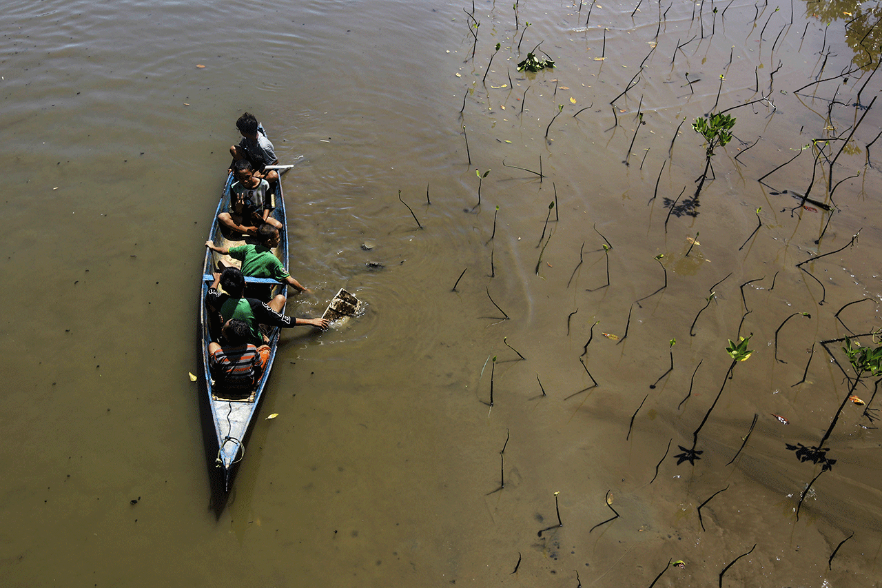 Indahnya Wisata Mangrove...