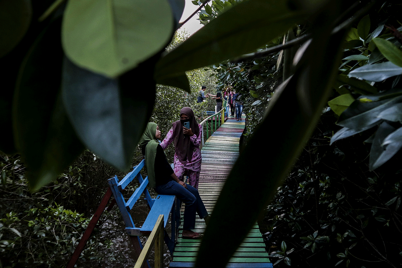 Indahnya Wisata Mangrove...