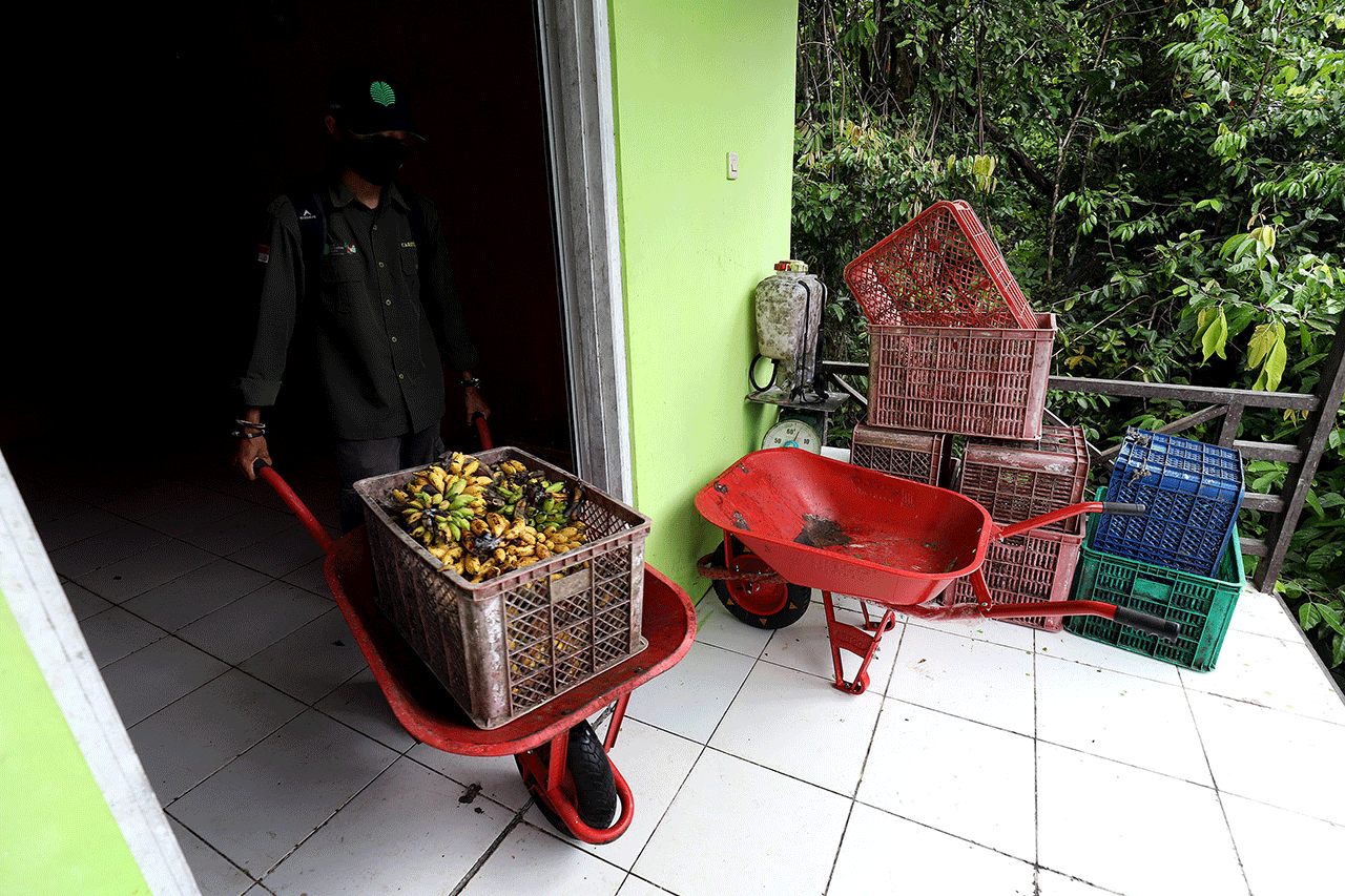 Pulau Salat Rumah Masa...