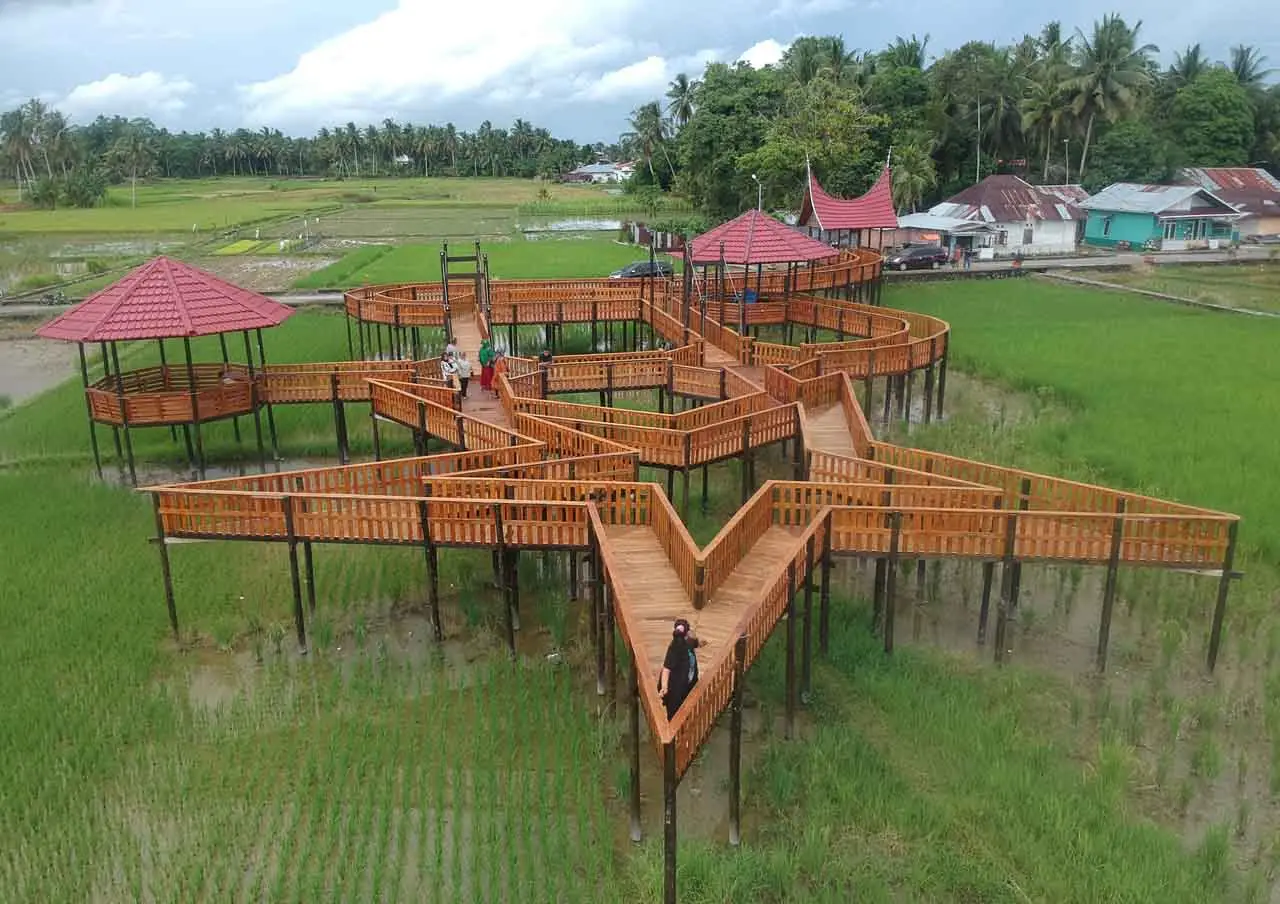 Menikmati Wisata Sawah...