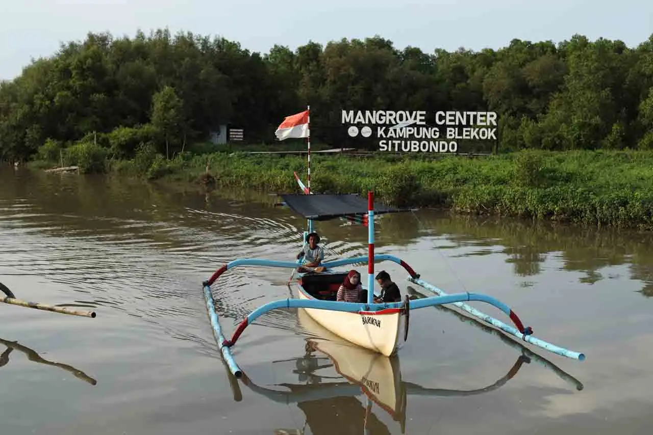 Berwisata di Hutan Mangrove...